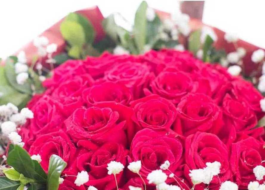 12朵玫瑰花花语的深意（爱情、友谊与祝福的象征）