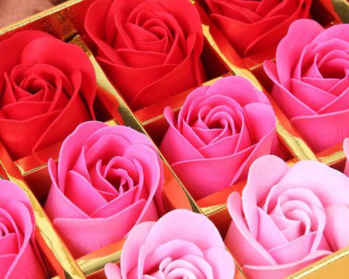 玫瑰花的多朵赠送与情感的含义（一朵玫瑰花的心意，多朵玫瑰花的情感传递）
