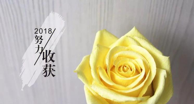 黄玫瑰的情感含义——情侣间的特殊象征（用黄玫瑰表达的爱意和情感）