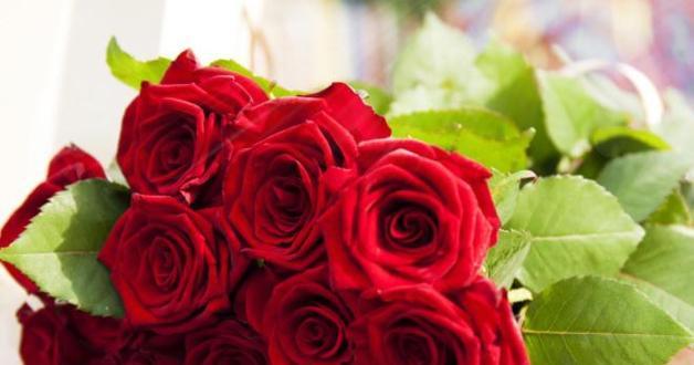 十九朵红玫瑰花语的神秘之谜（揭秘红玫瑰的隐藏花语，传递深情的绝佳选择）