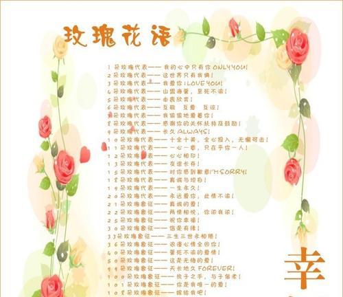 十一朵粉玫瑰的花语与意义（浪漫、爱情、祝福）