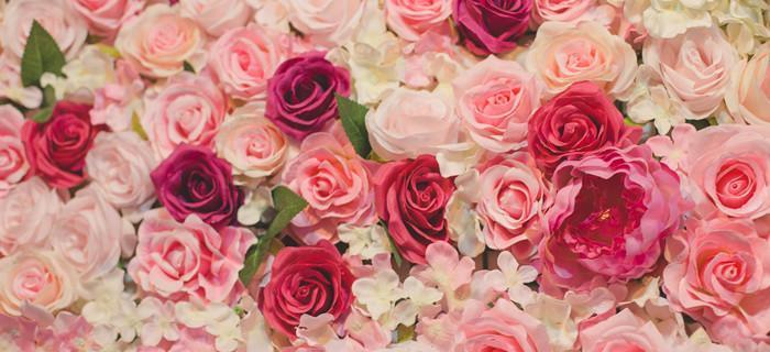 十一朵粉色玫瑰花的寓意与象征（探索粉色玫瑰花的深层意义，了解其代表的爱情与情感）