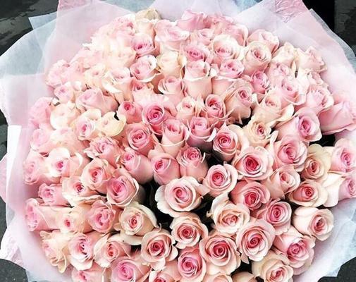 十一朵粉色玫瑰花的寓意与象征（探索粉色玫瑰花的深层意义，了解其代表的爱情与情感）