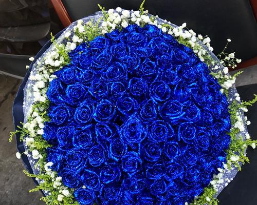 十一朵蓝玫瑰的含义与象征（揭示蓝玫瑰的浪漫与神秘魅力）