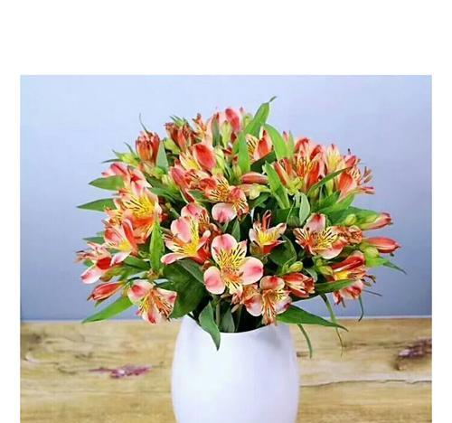 水仙百合之美（探索水仙百合的花语，了解它们的寓意与传说）