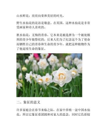 水仙花的象征意义与美丽传说（探寻水仙花的神秘魅力与文化意义）