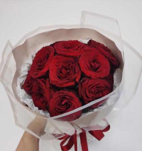 红玫瑰的象征意义和深层寓意（用红玫瑰传递的情感和祝福）