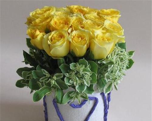 黄玫瑰的象征意义及送花礼仪（深入探索黄玫瑰的情感寓意，解读黄玫瑰的不同含义）