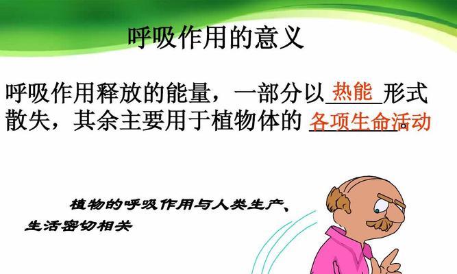 植物呼吸作用的意义（生命之源与环境平衡）