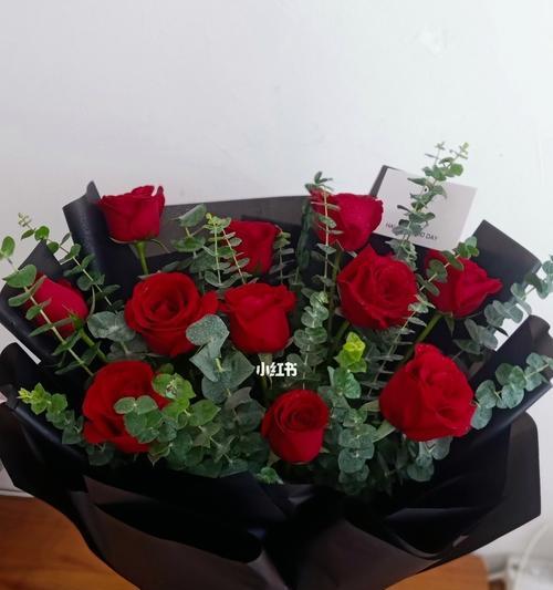 玫瑰花语及代表的含义（一支玫瑰花，代表的是爱情吗？）