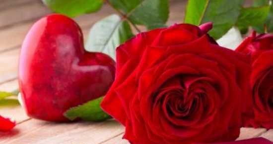红玫瑰的象征意义（探究红玫瑰的情感价值）