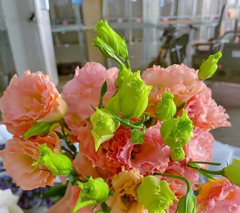 洋桔梗的花语与寓意（洋桔梗，傲然挺立的花朵）
