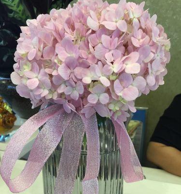 如何在花瓶里养护绣球花（打造美丽花园，细节也不可忽视）