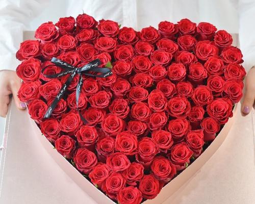 向女友求婚，要送多少朵玫瑰花？（如何选购玫瑰花？-情人节）