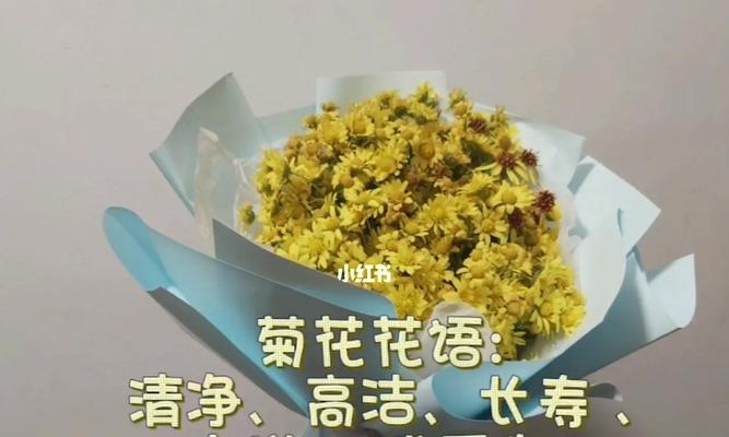 皱菊花的花语与寓意（皱菊花的花语——预示着繁荣与富贵）