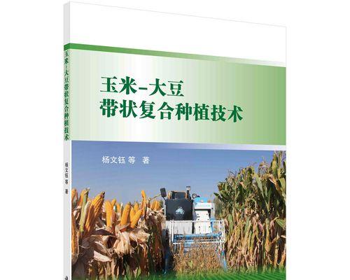 玉米种植技术（高效、稳产、绿色——如何实现玉米高质量种植）
