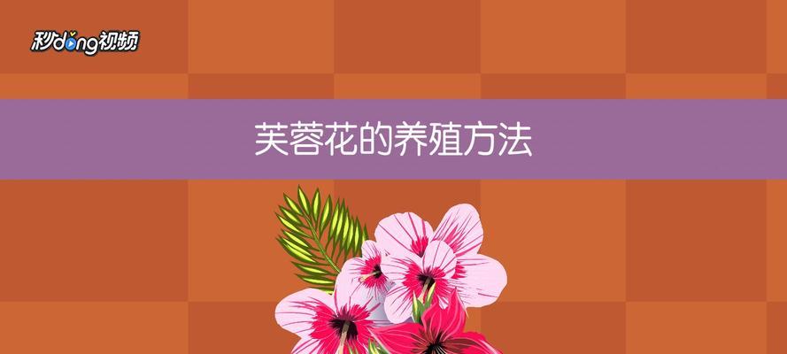 如何成功养殖水芙蓉花（打造美丽水景，让水芙蓉绽放）