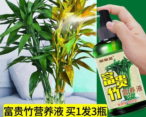 竹子黄叶的原因及预防方法（探究竹子养殖中的黄叶问题，解决竹子黄叶的技巧）