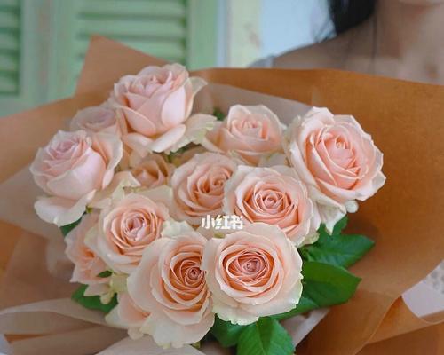 19朵粉玫瑰的花语传递爱情的温暖（绽放真爱，盛开幸福的美丽花海）