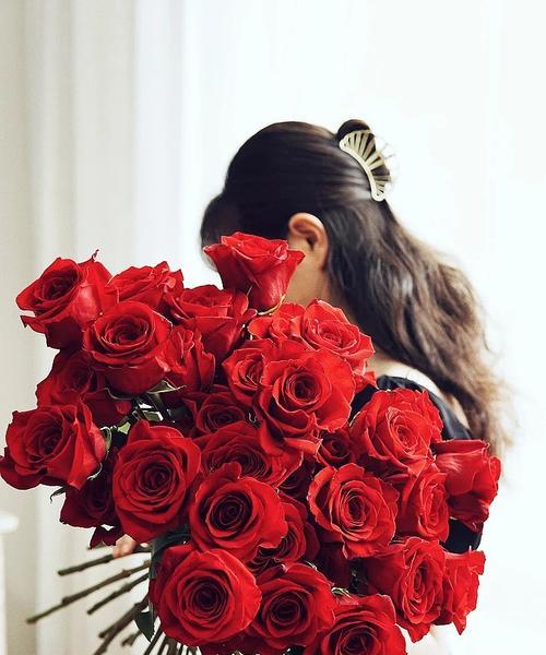 红玫瑰的花语含义（浓情蜜意，红玫瑰传递的深情意义）