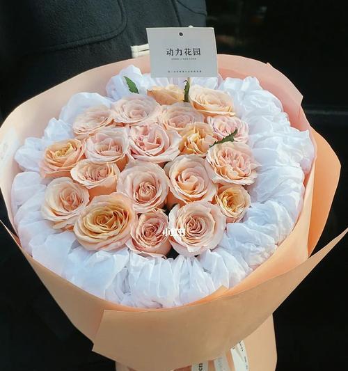 19朵玫瑰花语（浪漫，执着，坚定——传递真挚爱意的花束）