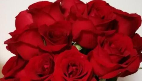 29朵玫瑰花语的含义——爱情的永恒誓言（浪漫传递的芬芳信息，情感的炽热表白）