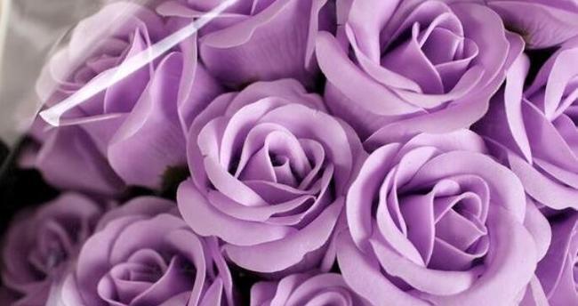 爱的誓言，29朵玫瑰花语（用花语表达真挚的情感，传递永恒的爱意）