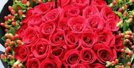 爱的誓言，29朵玫瑰花语（用花语表达真挚的情感，传递永恒的爱意）