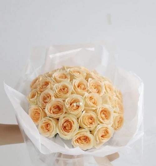 33朵香槟玫瑰的意义与象征（浪漫、丰饶、纯真、祝福）