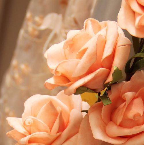 五朵玫瑰花的意义（探索玫瑰花象征的浪漫和深情，以及它们在人们生活中的重要意义）