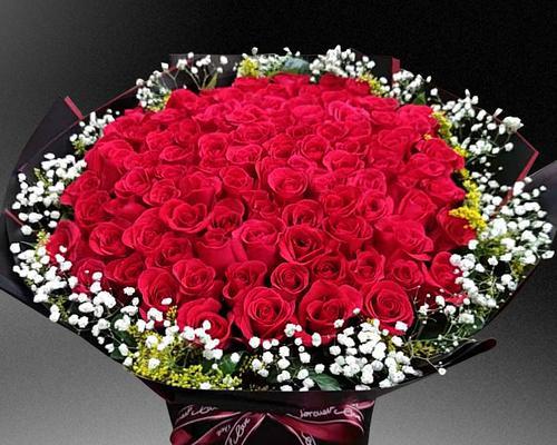 红玫瑰花的象征意义（8朵红玫瑰花的意义及传达的情感）