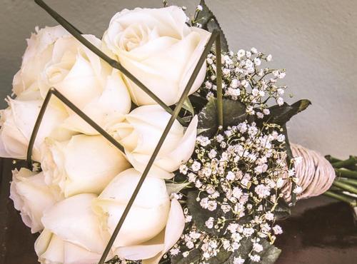 白玫瑰花语之纯洁与无畏（用白玫瑰向世界传达一种纯净而无畏的意义）