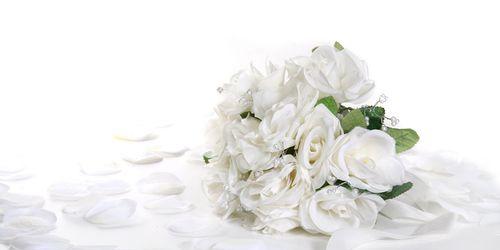 白玫瑰花语之纯洁与无畏（用白玫瑰向世界传达一种纯净而无畏的意义）