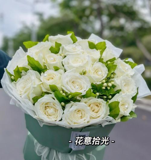 白色玫瑰花的纯洁之美（探索白色玫瑰花的象征意义与文化内涵）