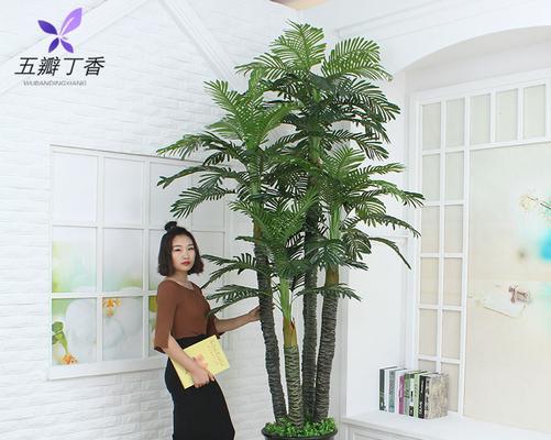 散尾葵的寓意与风水（解密散尾葵的神秘力量，为你的家居带来好运）