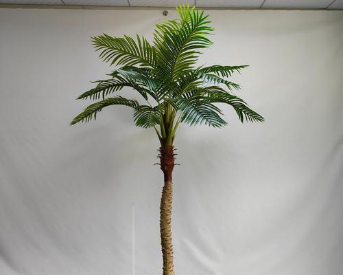 椰子树盆栽养护全攻略（椰子树盆栽好养吗？如何科学养护？）