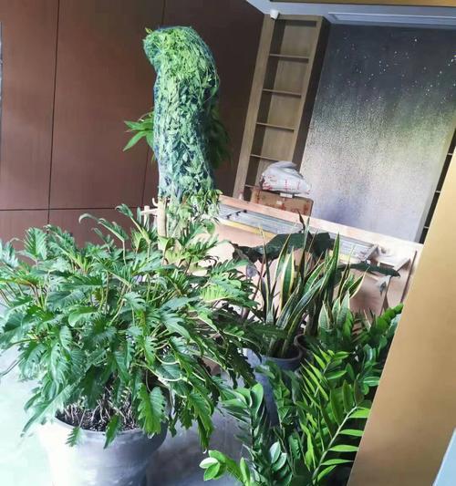 室内花卉品种植物大全（打造生机盎然的室内空间，从选植花卉开始）