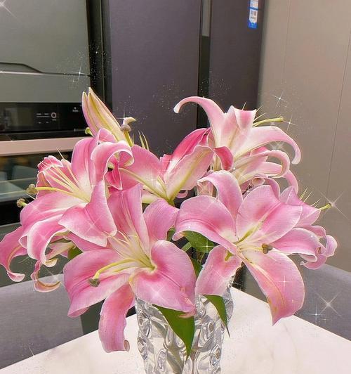 百合花的寓意与象征（揭示百合花象征纯洁、高贵、爱情的内涵）