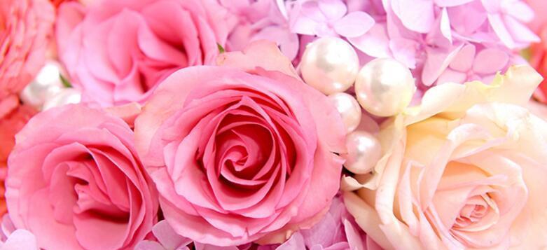 粉色玫瑰花语之美（探索玫瑰花中温柔和浪漫的一面）
