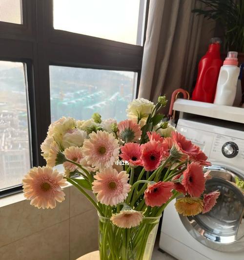 扶郎花的花语及其意义解读（探秘扶郎花的种类与传说）