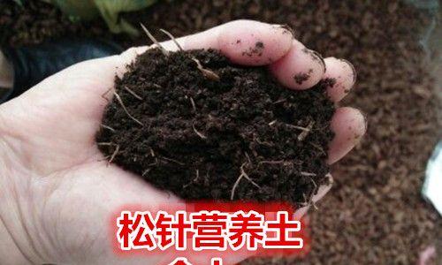 兰花专用土的制作方法（打造营养均衡的兰花栽培土）