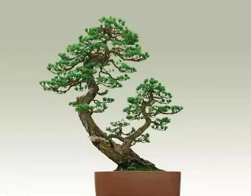 附石松树盆景制作方法（用“雕琢”和“留白”打造自然美）