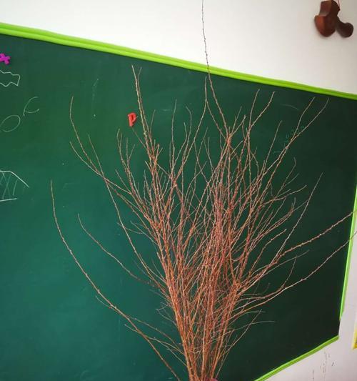 干枝梅放水里开花的方法（放水多久能让干枝梅开花？）
