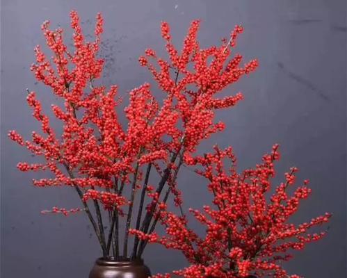 如何成功种植冬青？（学会5个冬青养殖技巧，让你的花园更美！）