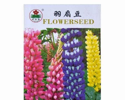 秋季播种，打造花园美景（秋季花卉种子推荐，让花园绽放色彩缤纷）