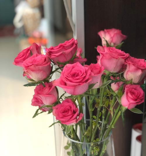 粉玫瑰花语的深刻含义（从爱情到感恩，一朵粉玫瑰的8种不同寓意）