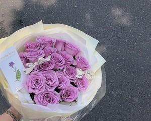 紫色玫瑰的象征意义及文化传承（紫色玫瑰的神秘与浪漫之美）