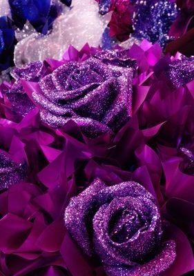 紫色玫瑰的花语与含义（探索紫色玫瑰所代表的情感与心意）