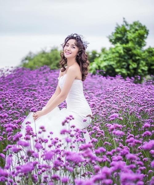 紫色薰衣草的花语与美丽意境（探寻紫色薰衣草的花语及其传递的情感）