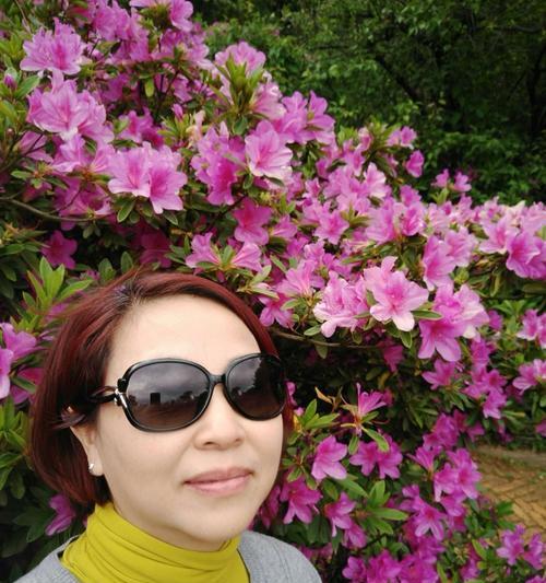 杜鹃花的象征意义及文化内涵（探寻杜鹃花的神秘与美丽）